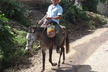 A local going about his daily business in Nicaragua