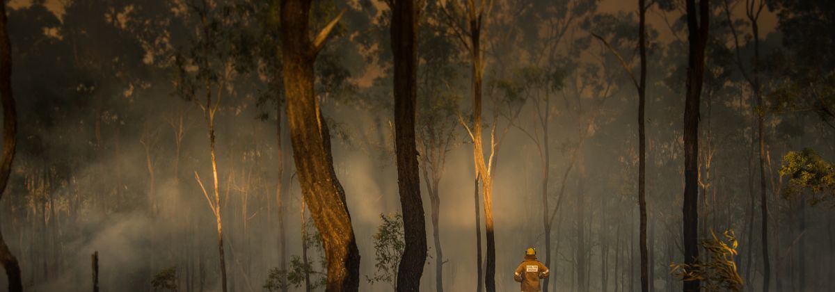 Bushfires - Banner